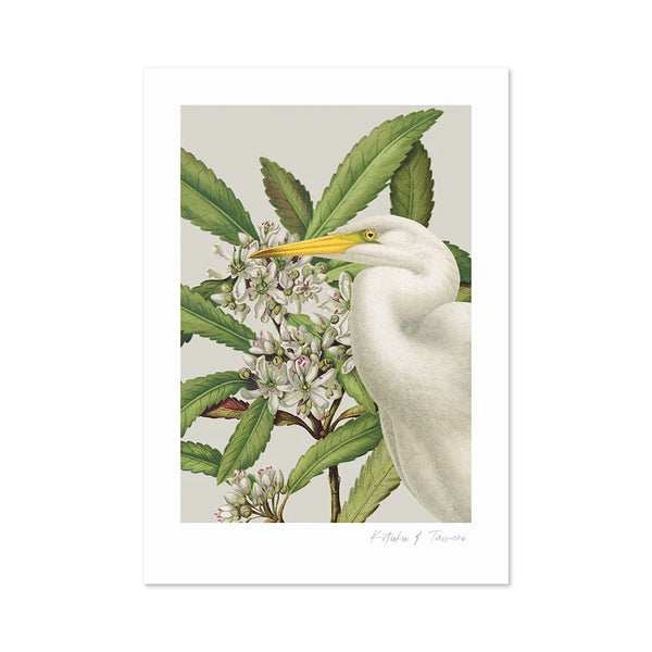 Birds & Botanics Heron A3 Print