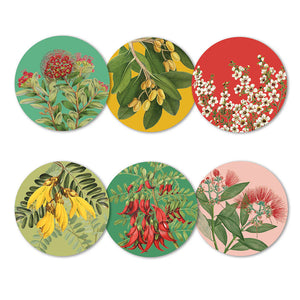 Native Botanicals of NZ Box of 6 Coasters