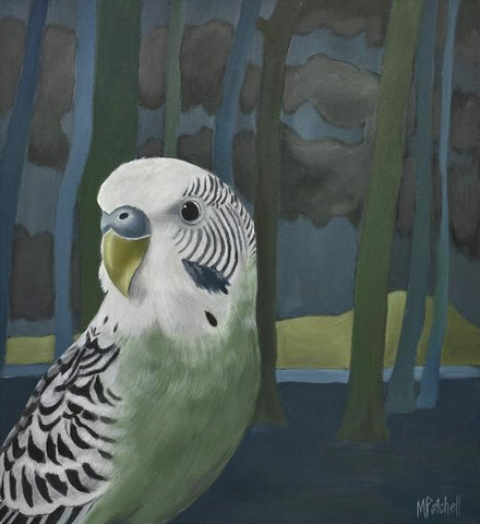 Ethyl Budgie Art Print