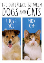 Card - Difference Between Dogs and Cats