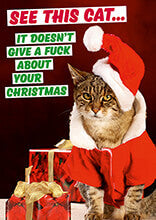 Card - See This Cat. It Doesn't Give A Fuck About Your Christmas