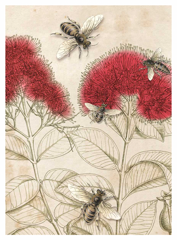 Pohutukawa & Bee - Lens Cloth