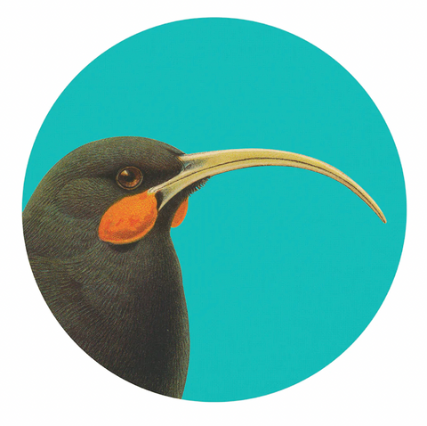 Bright Huia Art Spots (Decal)