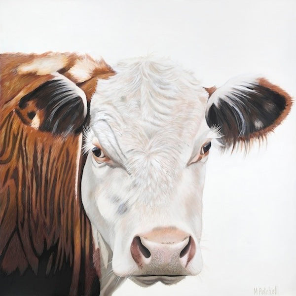 Cow "Amos" Art Print