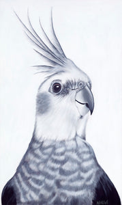 Cockatiel "Mr Perkins" Art Print