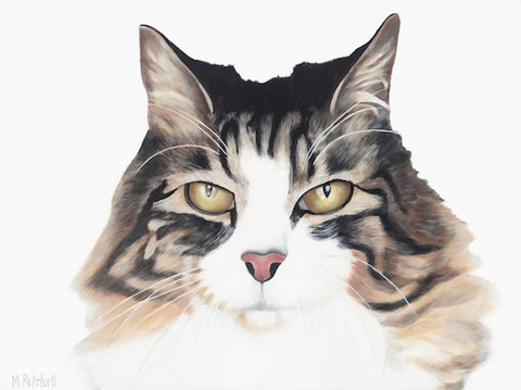 Cat "Ziggy Marly" Art Print